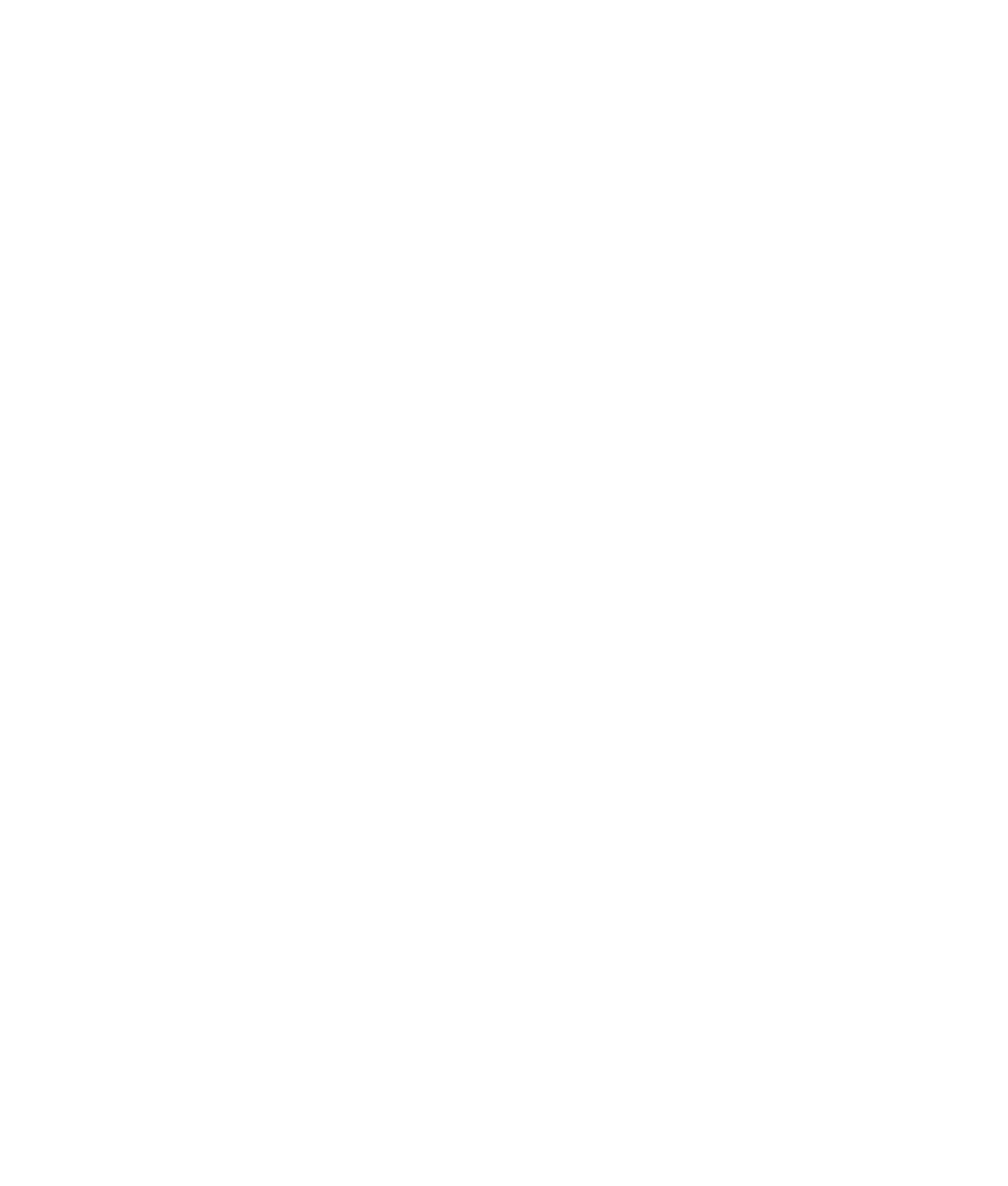 saint nick SN logo